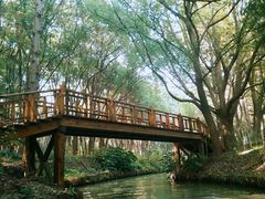 -同里国家湿地公园