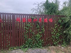 -同銮特种养殖场·龙虾垂钓