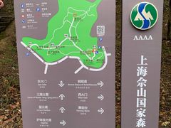 -上海佘山国家森林公园天马山园