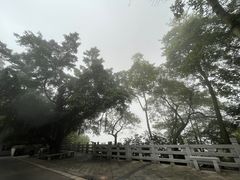 -广州市白云山风景名胜区