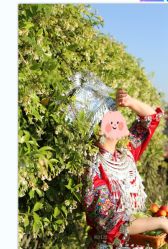 -后宫·古装汉服京剧儿童亲子全家福摄影