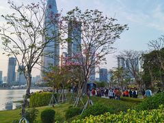 -深圳人才公园