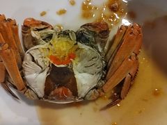 -新白鹿餐厅(百联中环店)