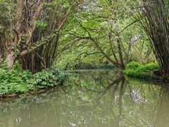 -茅家埠