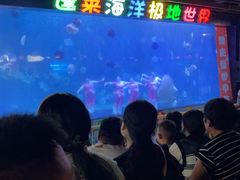 -蓬莱欧乐堡海洋极地世界