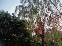 -济南大明湖景区