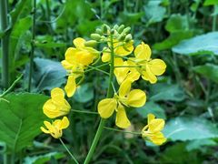 -西南民族大学南区(双流校区)