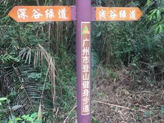 -红山村