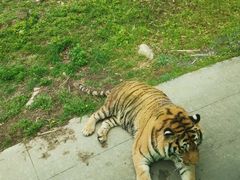 -西安秦岭野生动物园