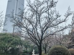 -静安公园(静安寺街道)