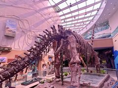 -陕西自然博物馆