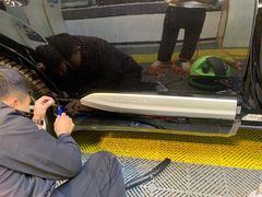 -利美特•威固V-KOOL双膜(杨浦授权店)