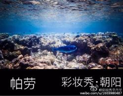 -上海彩妆秀摄影设计有限公司