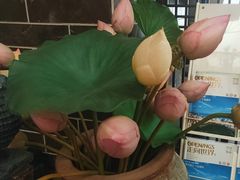 -东方大厦·就在江南