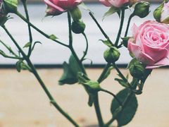 -九毛九西北菜(盈信广场店)