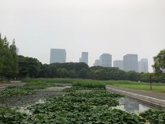 -尚贤河湿地