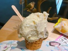 -野人先生现做冰淇淋(北京顺义祥云小镇店)