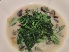 豌豆尖-秀儿四九城·新京菜(亚运村鸟巢店)