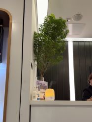 -程Studio