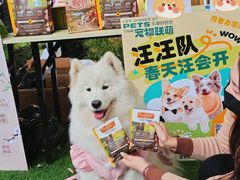 -瑞虹新天地月亮湾