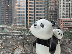 -嫩芽 ·地道重庆菜(十八梯露台夜景店)