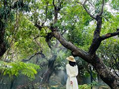 -Chom Cafe and Restaurant