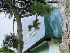 -罗红摄影艺术馆