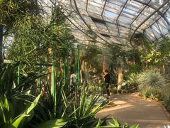 -北京植物园-展览温室