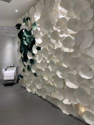 -紫御国际抗衰ZOE ANTI AGING