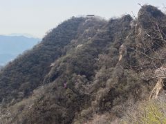 -大岭沟猕猴桃谷风景区