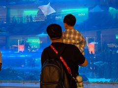 -迪拜水族馆及水下动物园