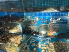 -蟹谢蒸鲜自助餐厅