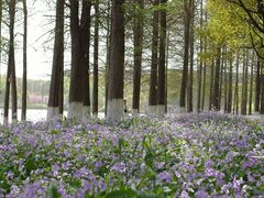 -南京工程学院(江宁校区)
