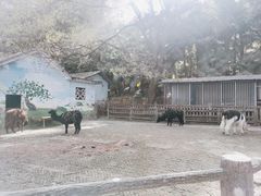 -昆明动物园