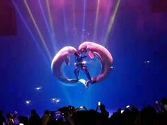 -芜湖新华联大白鲸海洋公园