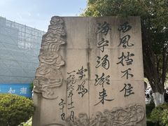 -观潮胜地公园
