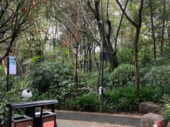 -青城道汤池