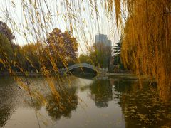 -西安市长乐公园