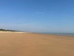 -日照海滨国家森林公园