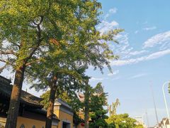 -西林禅寺
