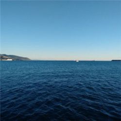 -薇兰专业脱毛连锁机构