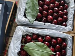 -沈阳市八家子水果批发市场