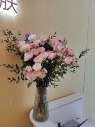 -苑苑vbeauty科技美容SPA