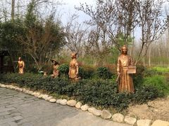 -合肥滨湖国家森林公园