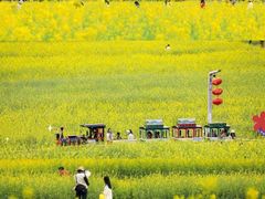 -光明小镇欢乐田园