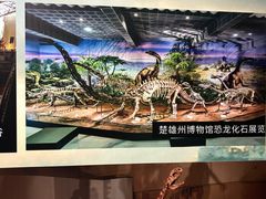 -北京周口店北京人遗址博物馆