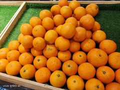 -清真军邺·金富苑肥牛城(海湖新区精品店)