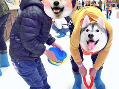 -Mr·Kuma酷么先生雪之乐园