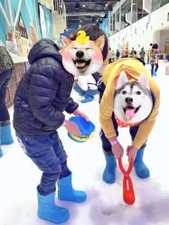-Mr·Kuma酷么先生雪之乐园