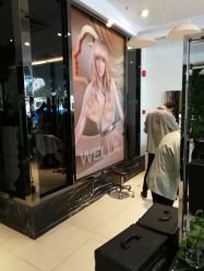 -京世沙龙